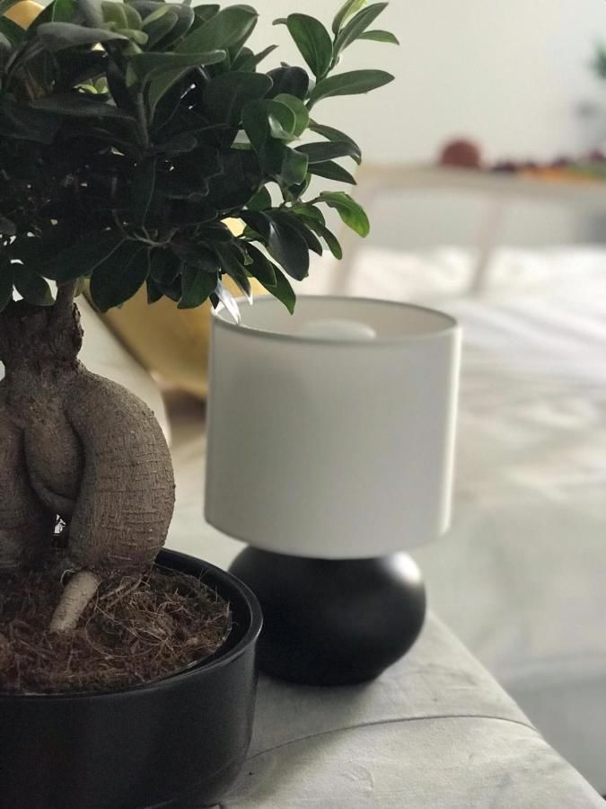 Хостелы Apartamenty przy SUNTAGO Мщонув