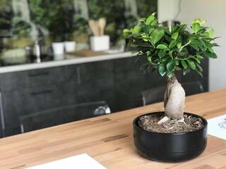 Хостелы Apartamenty przy SUNTAGO Мщонув-7